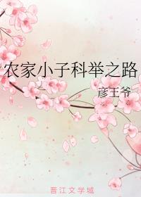 农家小子科举之路小说