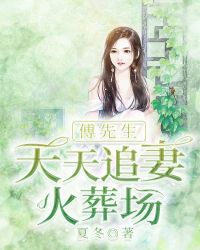 小说傅先生每天都想复婚