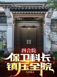 四合院:我傻